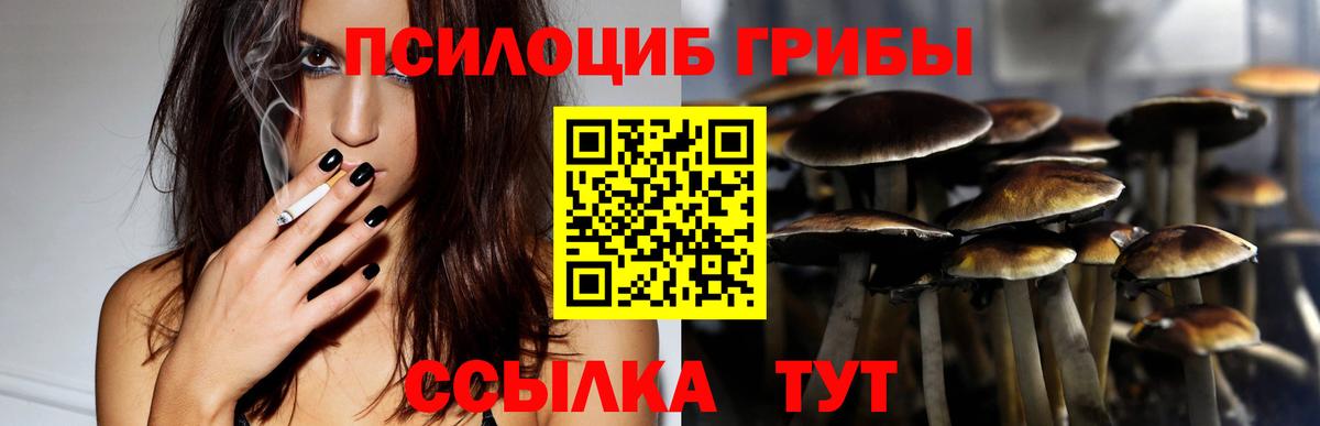 Псилоцибиновые грибы Magic Shrooms Усть-Илимск